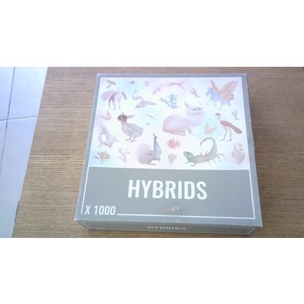 HYBRIDS Jigsaw Puzzle (1000 Piece) Cloudberries