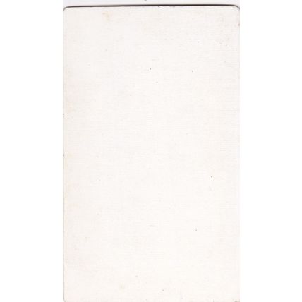 VICT. CDV PHOTO -ATTRACTIVE YOUNG WOMAN. NO STUDIO