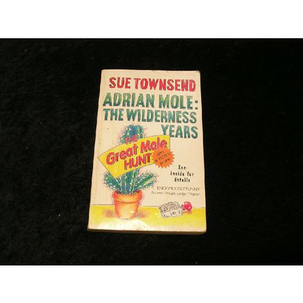 Adrian Mole : The Wilderness years by Sue Townsend
