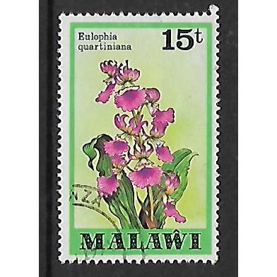 MALAWI 1979 ORCHIDS 15t EULOPHIA QUARTINANA SG 583 FINE USED#