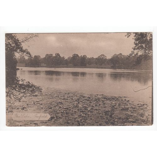 Gosfield Lake Essex Postcard Local Publisher S T Coppock
