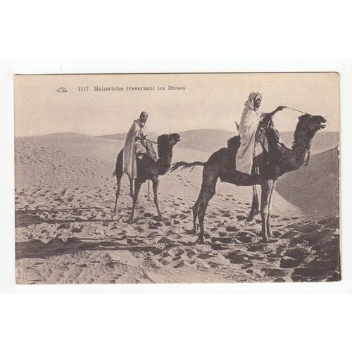 Camel Riding in the Dunes Ethnic Postcard 1117