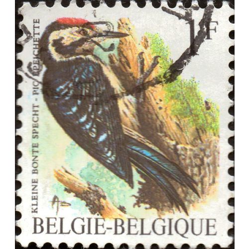 BELGIUM, BIRDS, Lesser Spotted Woodpecker, 1990, 1 Franc