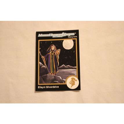Ellayni Silverdelve 1992 TSR 2nd Edition Dungeons & Dragons NO.344