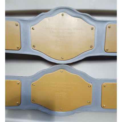 wcw wwe wwf ljn classic superstars kids talking wcw tag team championship belts
