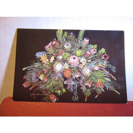 INDIGENOUS FLOWERS OF THE CAPE, SOUTH AFRICA unused postcard =