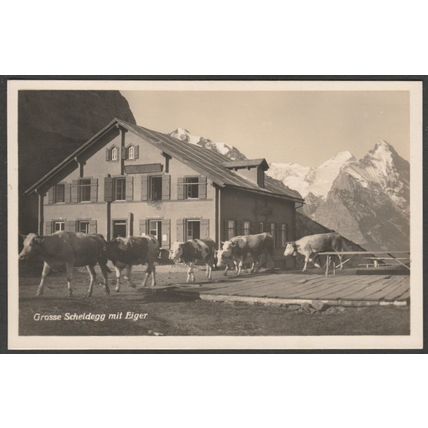 Grosse Scheidegg mit Eiger, c.1940s - Schild-Bichsel Foto-AK