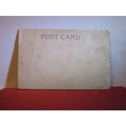 BOTANIC STATION, ST. GEORGE'S, GRENADA, WEST INDIES, unused antique postcard =