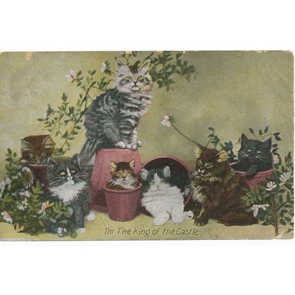 PC17114 King of the Castle. J W B. No 302. Commercial. 1928