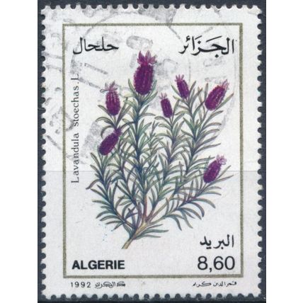 Medicinal Plants: 8.60d - Algeria 1992 - F H - MiNr 1070