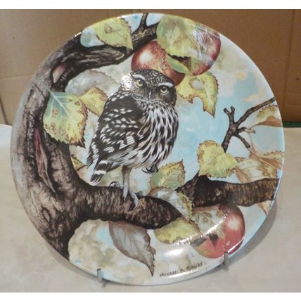 Coalport The Wise Owl Collection - Little Owl - Plate 6933A