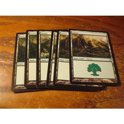 Magic The Gathering, MTG, 6- Cards, 1993-2006, FOREST, nm