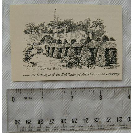 Vintage engraving - Yew Hedge, Cleve Prior Manor House