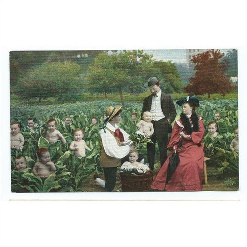 fantast edwardian postcard babies. used not posted 1904