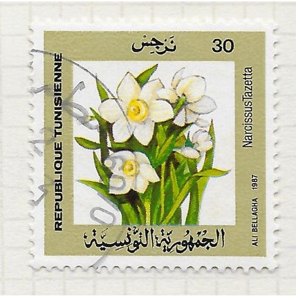 TUNISIA 1987 FLOWERS FLORA NARCISSI USED