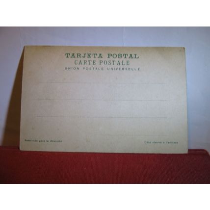 CALLE EN EL TIGRE, BUENOS AIRES, ARGENTINA unused antique postcard #