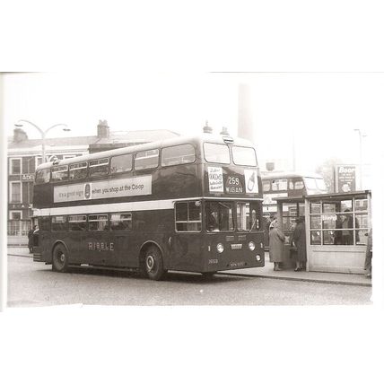 Black & White Photograph of Ribble Motor Services Ltd. - NRN 559
