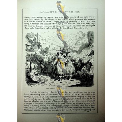 Girls Leading Cattle To The Mountains, Switzerland, Book Illustration, c1890