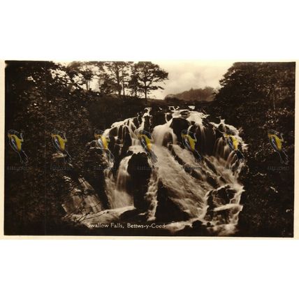 Swallow Falls, Bettws-y-Coed, Wales, RP H Jones Postcard