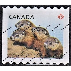 CANADA, 2013 'P' Juvenile Wildlife coil, SG 2706 (Scott #2604), used