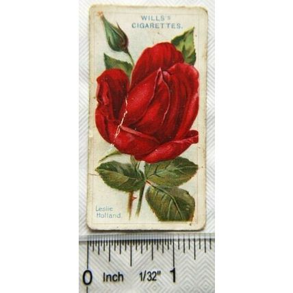 1914 Wills Roses 2nd Series No. 71 Leslie Holland
