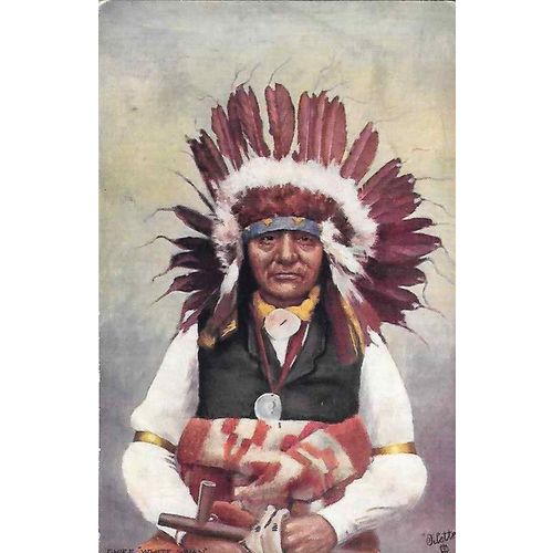 North American Indian Post Card, Chief White Swan, MINT circa 1910 TUCK 9131
