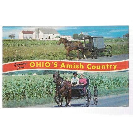 OHIO'S AMISH COUNTRY, OHIO, USA unused vintage postcard #