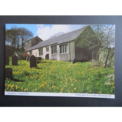 Spring Time - Cartmel Fell, Cumbria Postcard