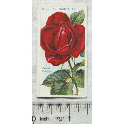 1914 Wills Roses 2nd Series No. 73 Edward Mawley