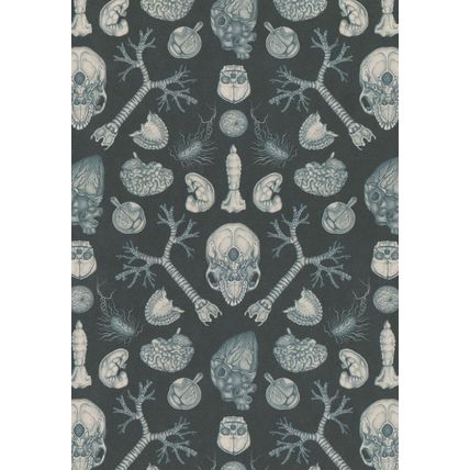 Kaleidoscope Of Skull Skeleton Spine Body Parts Morbid Postcard