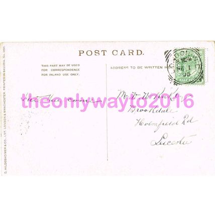 Natural History Museum, S Kensington, London, England, 1905, Postcard