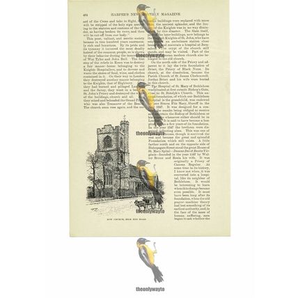 Bow Church, Mile End Road, London, Book Illustration (Print), 1891