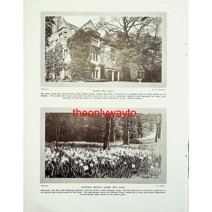 Coppice Walk, Haden Hill Park (Hadden Hill Hall, Reverse), Book Illustration