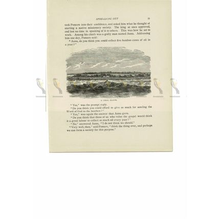 Coral Island (Atoll), French Polynesia, Book Illustration (Print), 1894