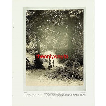 Coppice Walk, Haden Hill Park (Hadden Hill Hall, Reverse), Book Illustration