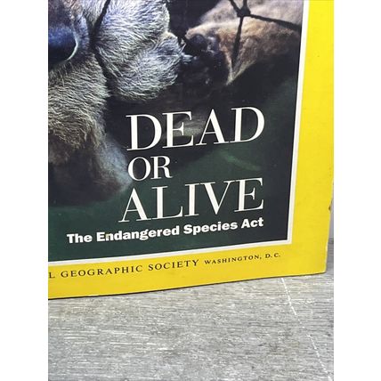 National Geographic Magazine March 1995 Dead or Alive Vintage Collectable b