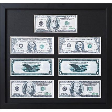 Multi-Dollar Picture Frame,Dollar Bill Frame,Dollar Bill Holder,14X15 Frame for