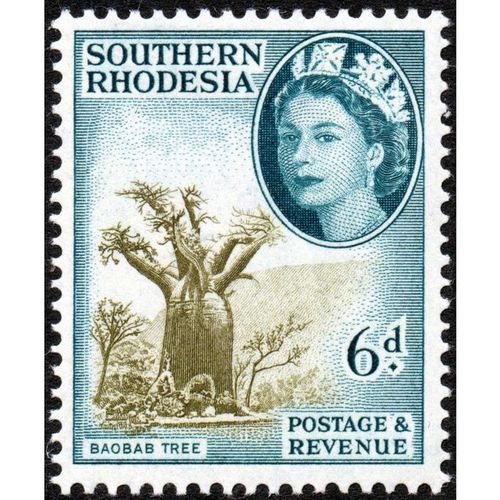 Southern Rhodesia QEII 1953 6d Olive & Green Unmounted Mint NHM SG 84 stamp tree