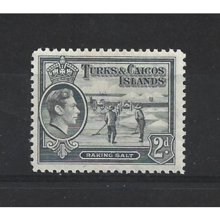 Turks&Caicos.SG198 2d Raking Salt (Grey).Mounted Mint.Aug24d