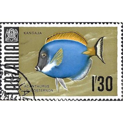 TANZANIA, FISH, Powderblue surgeinfish, gold 1967, 1/30
