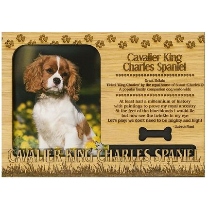 Cavalier King Charles Spaniel Engraved Wood Picture Frame Magnet