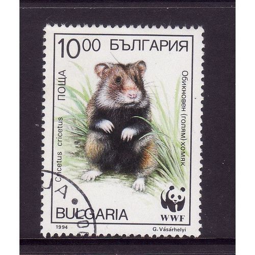 BULGARIA 1994 SG 3978 10L HAMSTER SITTING UP IN GRASS FINE USED