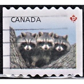 CANADA, 2012 'P' Juvenile Wildlife coil, SG 2705 (Scott #2506), used