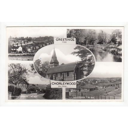Multiview of Chorleywood Postcard RP Hertfordshire