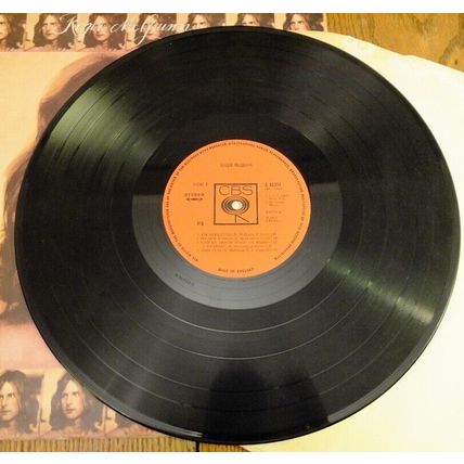 ROGER McGUINN LP The Byrds vinyl record 1973 original UK issue ROCK VGC