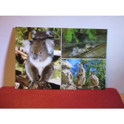 multiview, THE ZOO & GARDENS, MELBOURNE, VICTORIA, AUSTRALIA unused postcard a =