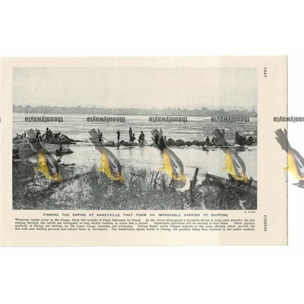 Fishing Rapids, Banzyville (Mobayi-Mbongo), Congo (DRC), Book Illustration c1920