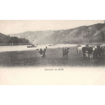 Waulsort Le Colibi Old Belgium Cattle Farming Postcard
