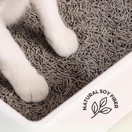Tuft + Paw Really Great Cat Litter, Low Tracking Tofu Cat Litter, Clumping, Flus