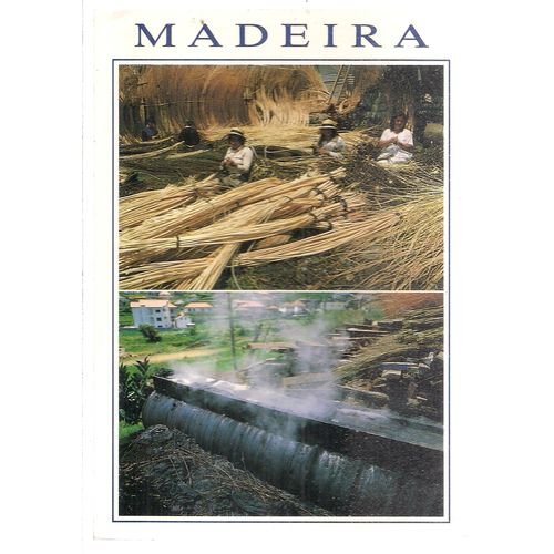 MADEIRA, PORTUGAL unused vintage postcard. #